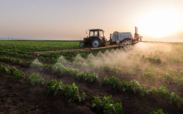 Best Commercial Pest Control Services  in Bangor, PA