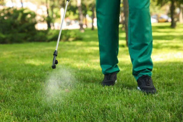 Best Pest Removal Services  in Bangor, PA