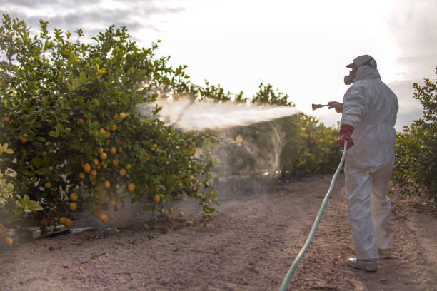 Best Best Pest Control Companies  in Bangor, PA