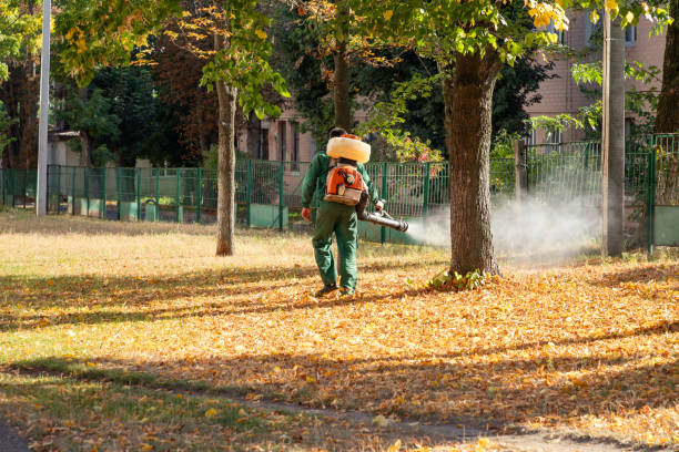 Best Spider Control Near Me  in Bangor, PA